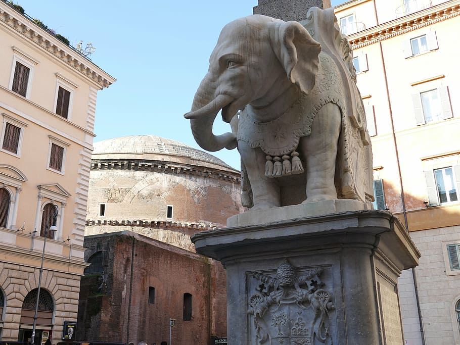 elephant, bernini, rome, proboscis, sculpture, stone figure HD wallpaper