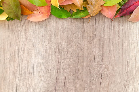 wood, dry, texture, table, autumn, blank, board, bright, brown HD wallpaper