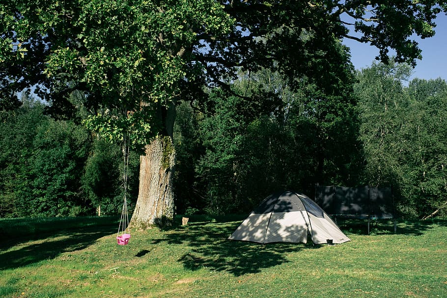 Tent under tree, lifestyle, nature, grass, camping, outdoors HD wallpaper