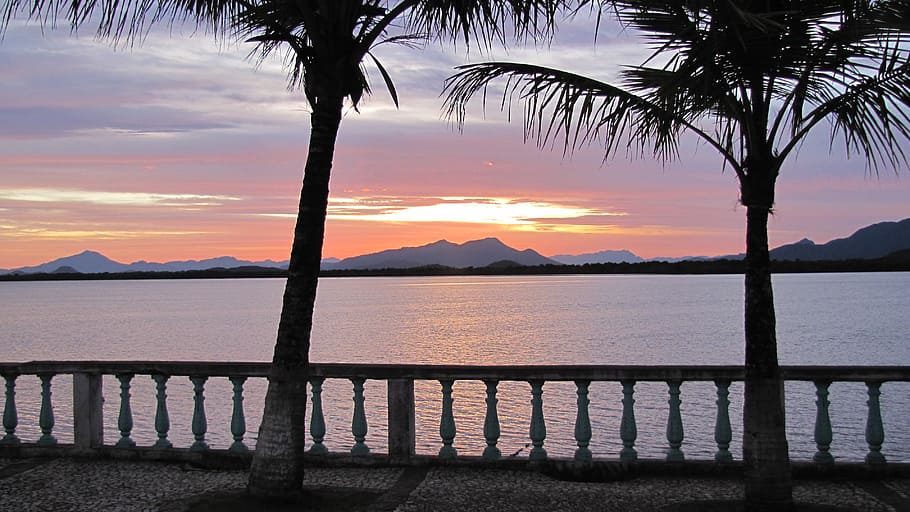 sunset, mar, beach, coconut trees, water, sky, beauty in nature HD wallpaper