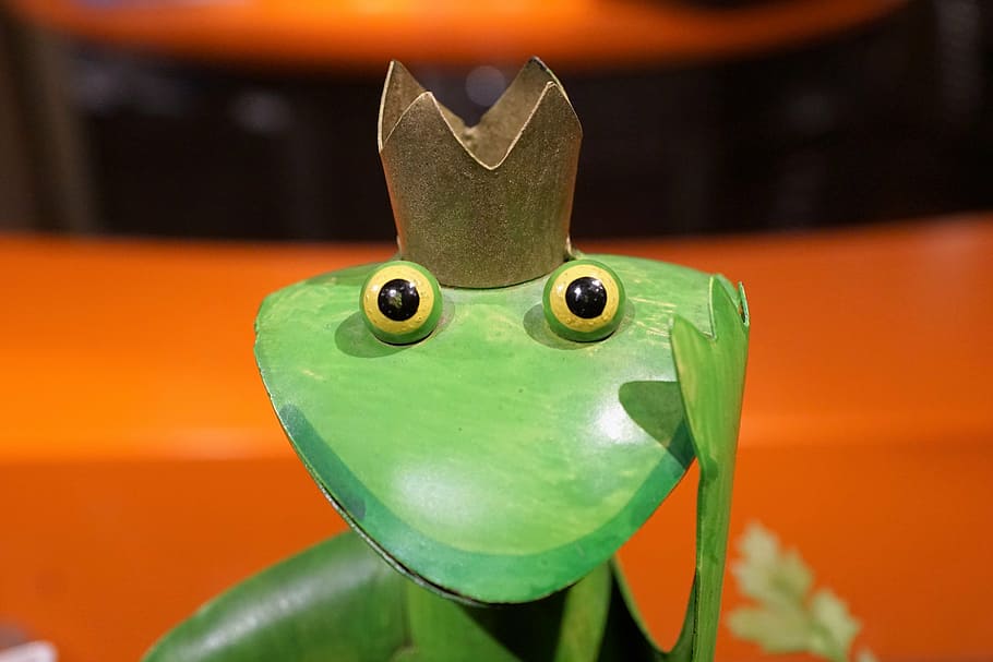 frog, king, green, figure, märchem, prince, eyes, head, healthy, HD wallpaper