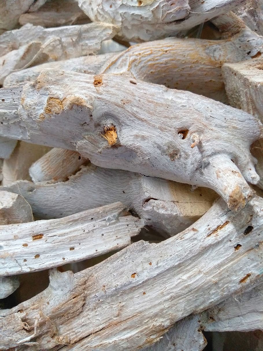 nature, wood, close up, tree, background, texture, drift wood HD wallpaper