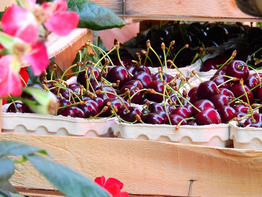 Fruit, Cherry, Drupe, Sales, Stand, Sell, sales stand, market HD wallpaper