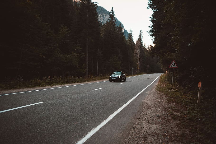 time lapse photography of car passing through trees, vehicle passing by the road HD wallpaper