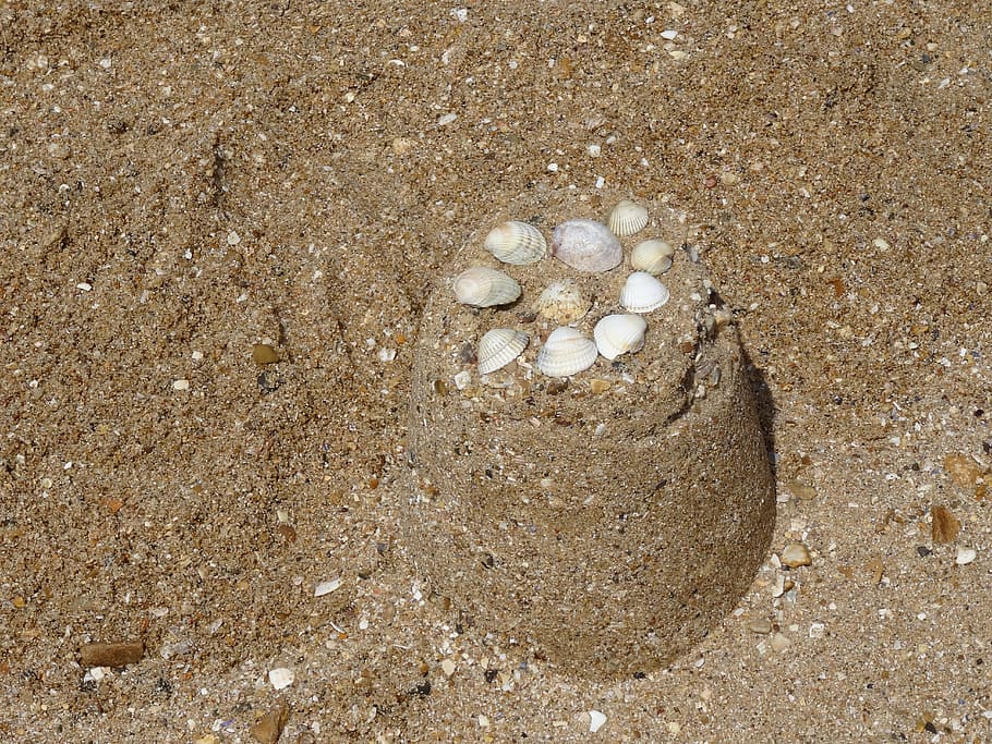 sand, shells, sand castle, beach, seaside, land, high angle view HD wallpaper