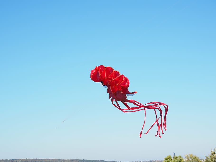 dragons, octopus, squid, red, kite flying, autumn, sky, blue