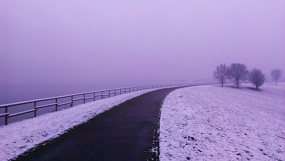 Winter, Road, Wintry, Snow, Snowy, winter cold, fog, cold temperature HD wallpaper
