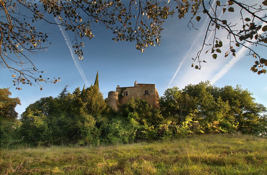 tree, nature, sky, landscape, château du théron, prayssac HD wallpaper