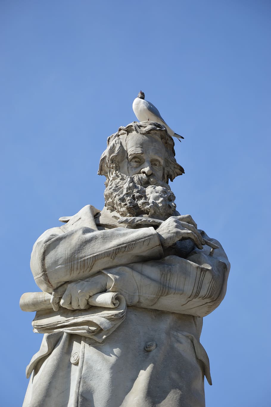 statue, seagull, bird, venice, sculpture, architecture, monument HD wallpaper