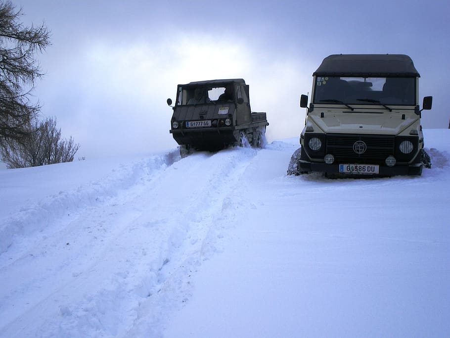 all terrain vehicle, offroad, puch, auto, haflinger, snow, all wheel drive, HD wallpaper