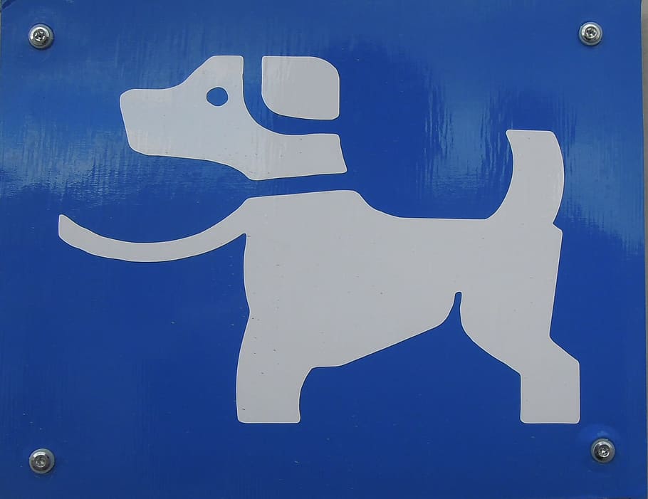 Sign, Dog, Character, Ad, blue, no people, close-up, day, indoors HD wallpaper