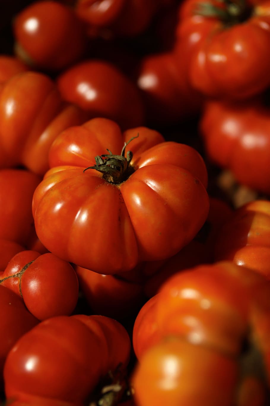 tomato, red, ripe, heirloom, vegetable, organic, food, fresh HD wallpaper