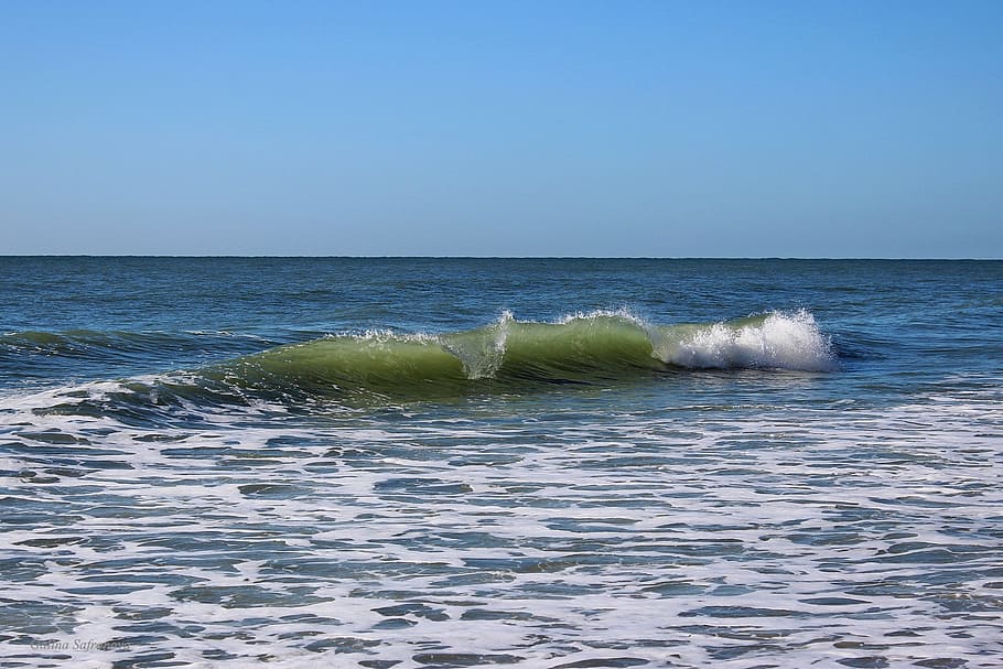 1440x2160px | Free Download | HD Wallpaper: Myrtle Beach, South ...