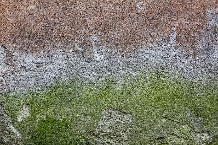 green moss on brown surface, concrete, wall, texture, backgrounds, HD wallpaper