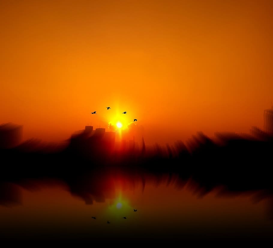 west, birds, sol, sunset, against light, reflection, eventide HD wallpaper