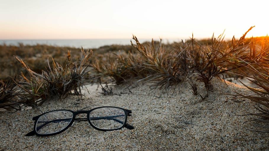 beach, closeup, environment, eye glasses, fair weather, landscape HD wallpaper