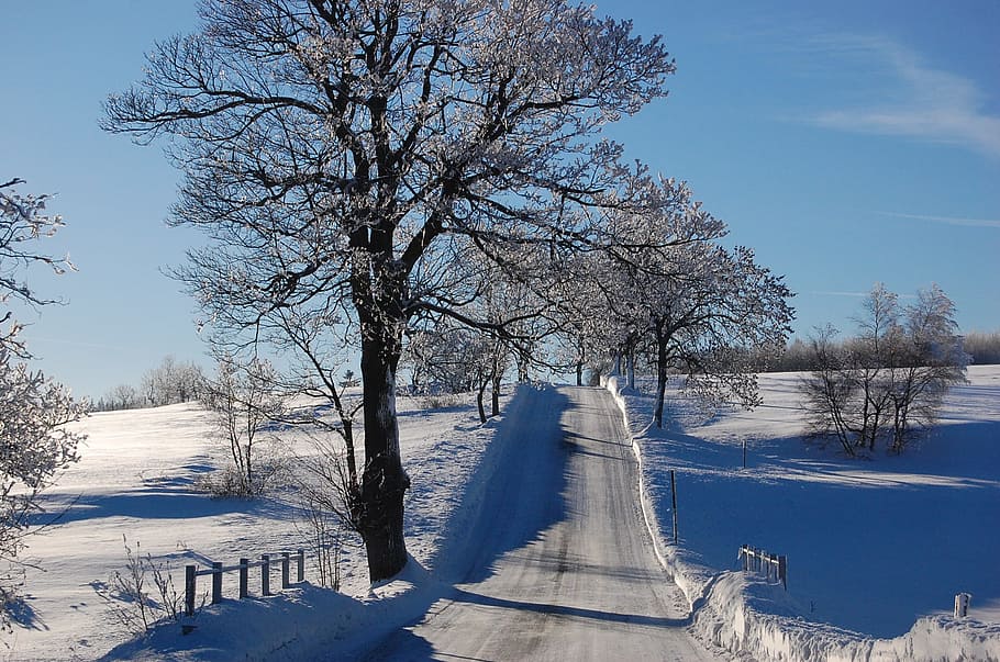 mountains, winter, snow, nature, road, tree, cold temperature HD wallpaper
