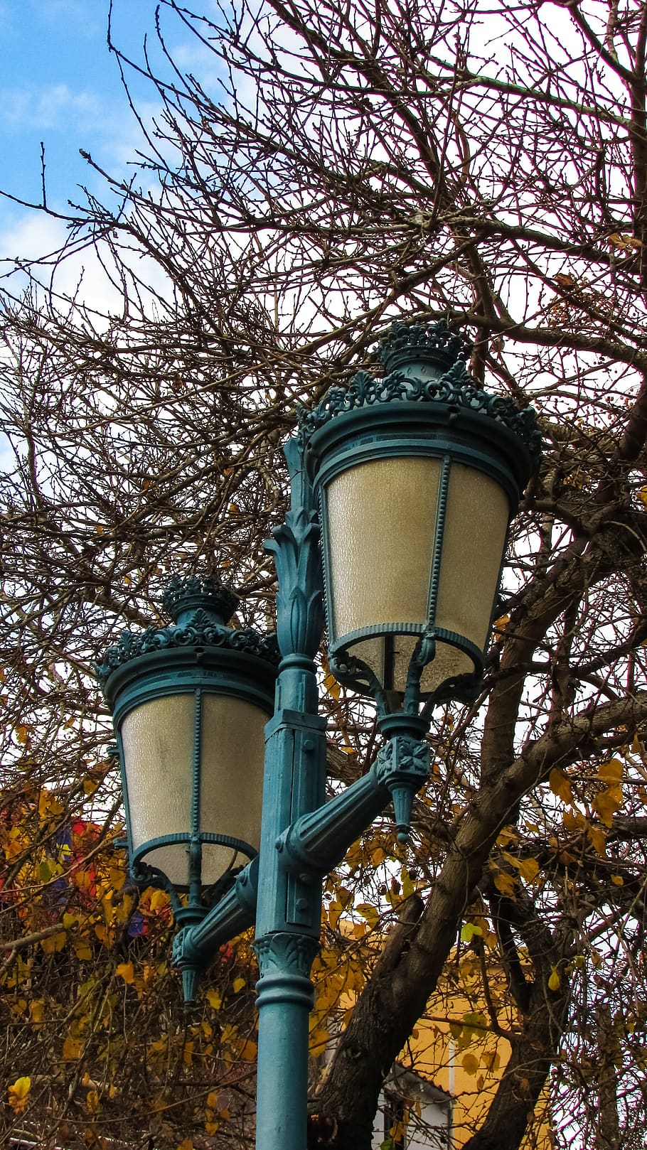 lantern, elegant, light, street lamp, low angle view, plant HD wallpaper