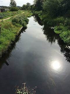 water, river, nature, aalborg, denmark, creek, plant, reflection HD wallpaper