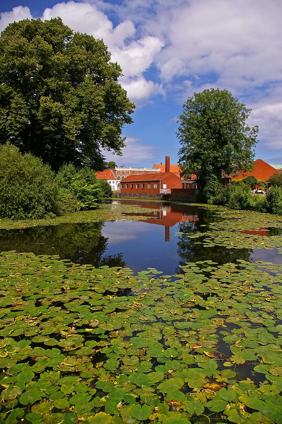 Mirroring, Water, Reflection, water reflection, nature, landscape HD wallpaper