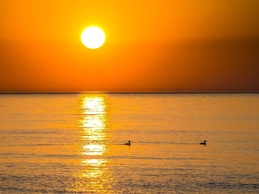 landscape, sea, sunset, water, sky, beauty in nature, scenics - nature HD wallpaper