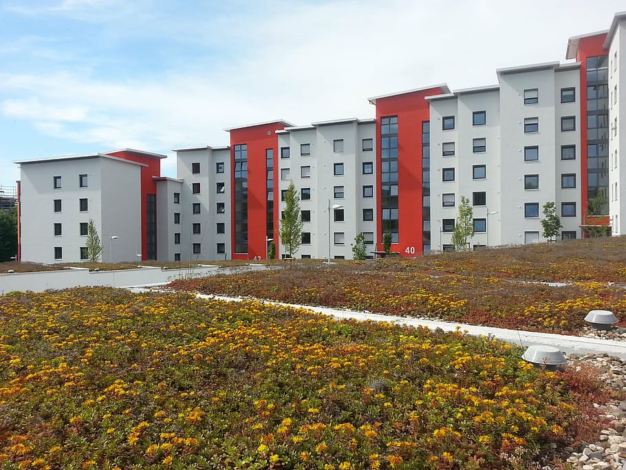 rehabilitation-new-building-green-roof-red.jpg