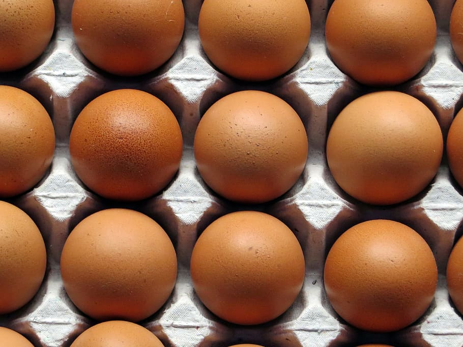 tray of brown eggs, egg basket, eat, power, colorful eggs, in a row HD wallpaper