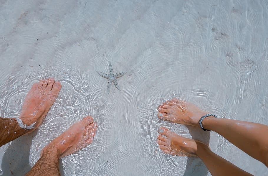 man and woman on seashore nearby starfish, two person standing on body of water