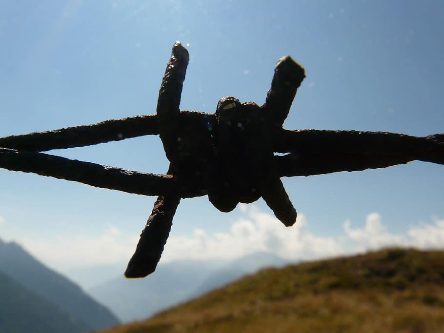 Barbed Wire, Thorn, Risk, air vehicle, military, sky, airplane HD wallpaper