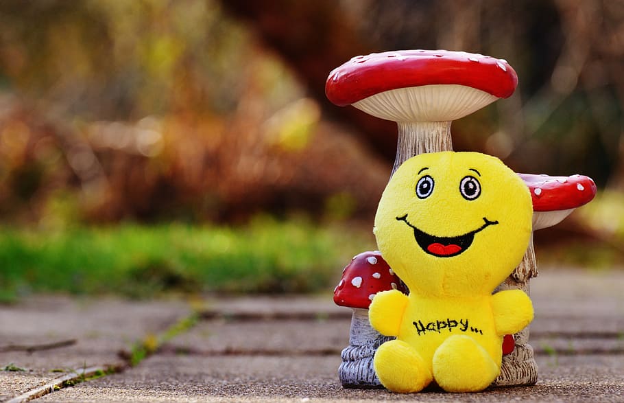 Happy plush toy beside mushroom on floor, smiley, laugh, funny, HD wallpaper