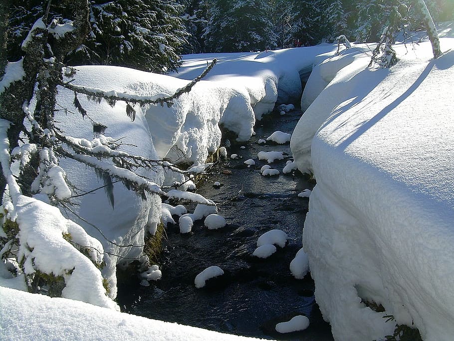 winter, snow, nature, brook, snow landscape, cold, forest, cold temperature HD wallpaper