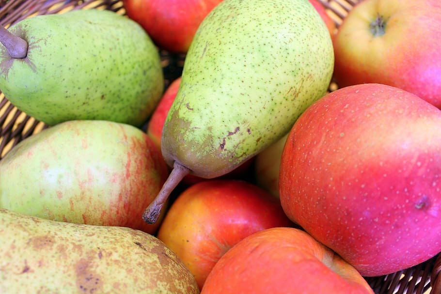 fruit, apples, pears, collections, sad, healthy food, fruit growing HD wallpaper