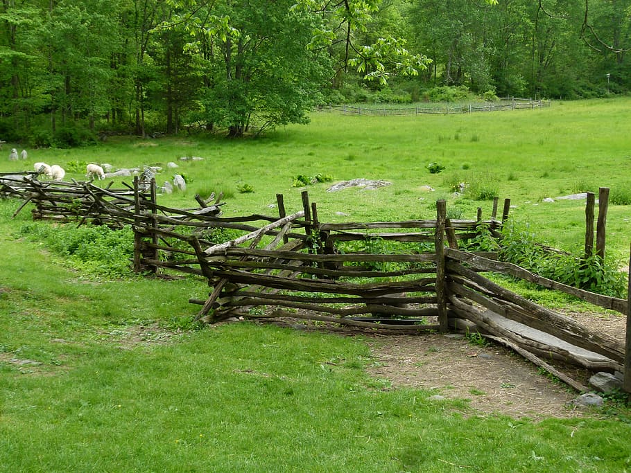 historic, farm, rural, old, barn, farming, wooden, fence, split rail, HD wallpaper