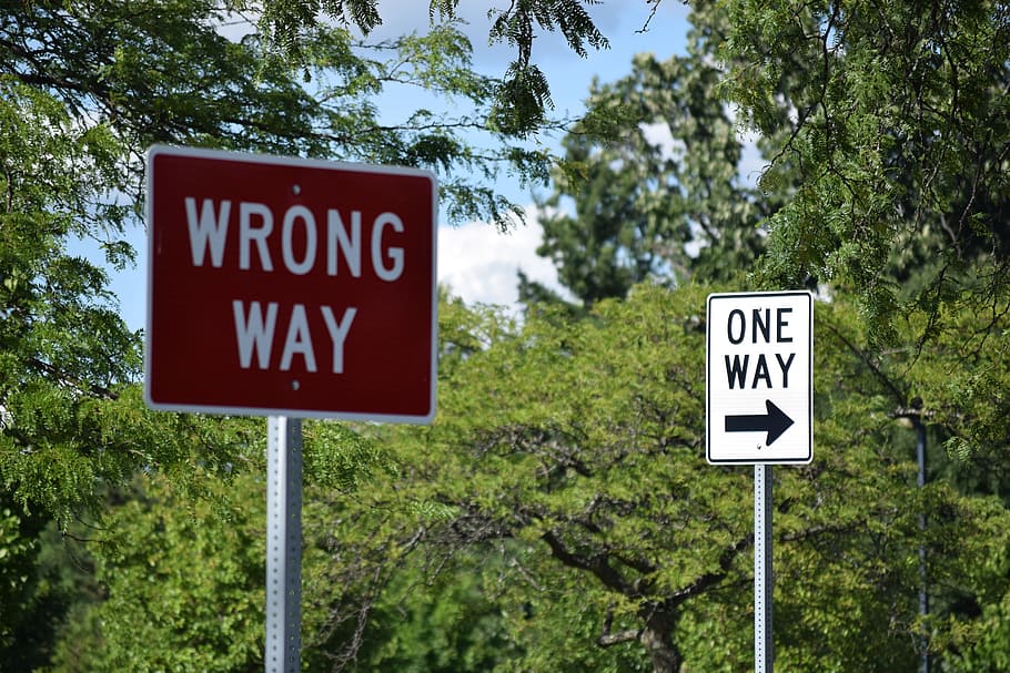 two wrong way and one way signages near green trees, Street, Road