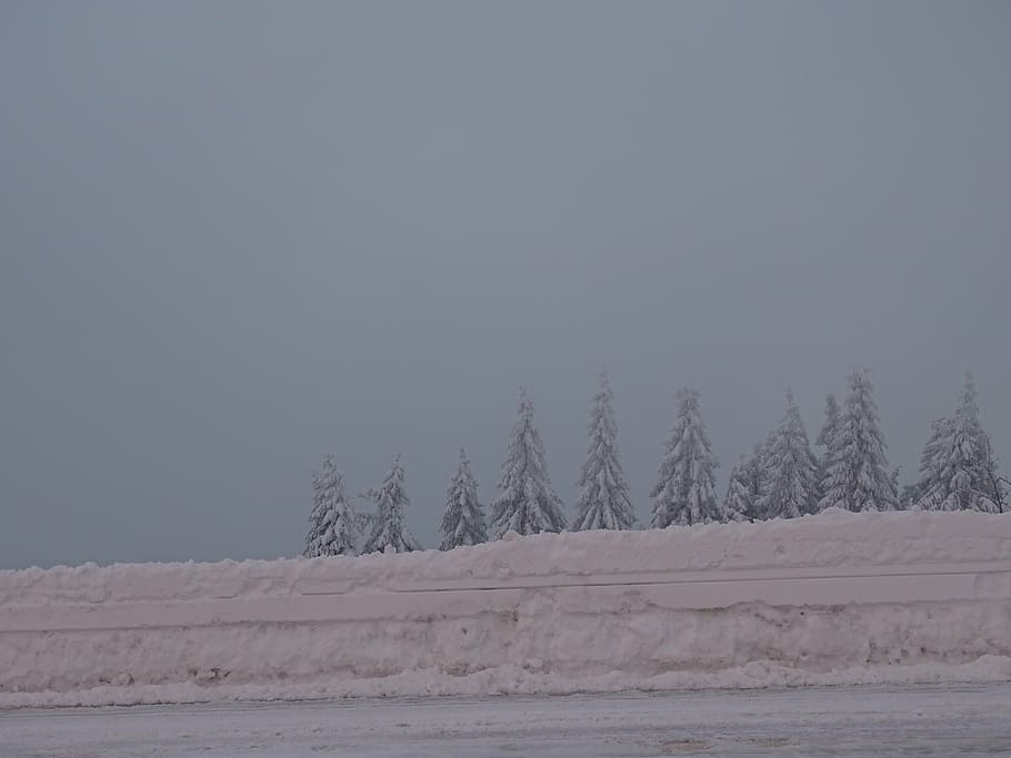 winter, trees, wintry, snow landscape, snowy, forest, cold temperature HD wallpaper