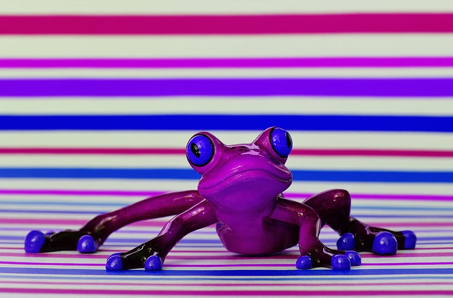 frog, funny, figure, cute, animal, sweet, frog eyes, lurking HD wallpaper