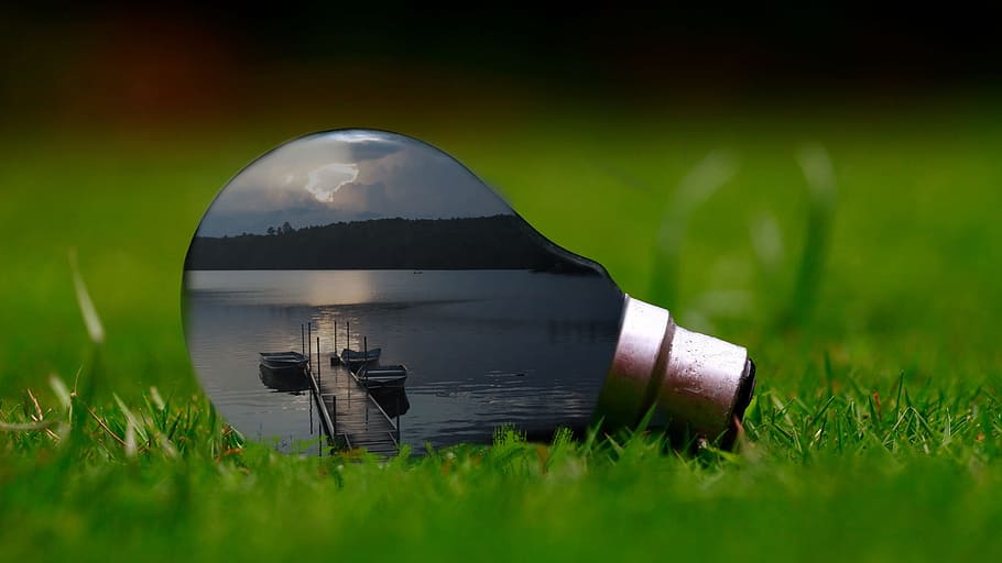 thinking, project, fishing, grass, green color, plant, nature HD wallpaper