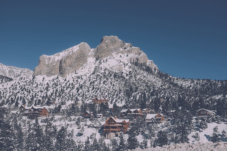 mountain, landscape, peak, summit, snow, trees, pines, houses HD wallpaper