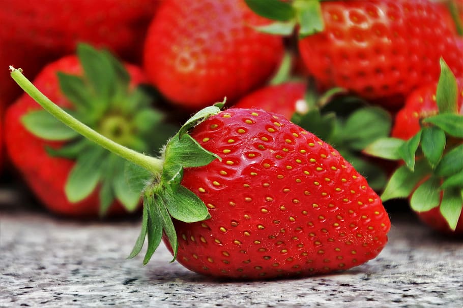 strawberry selective focus photography, strawberries, season, HD wallpaper
