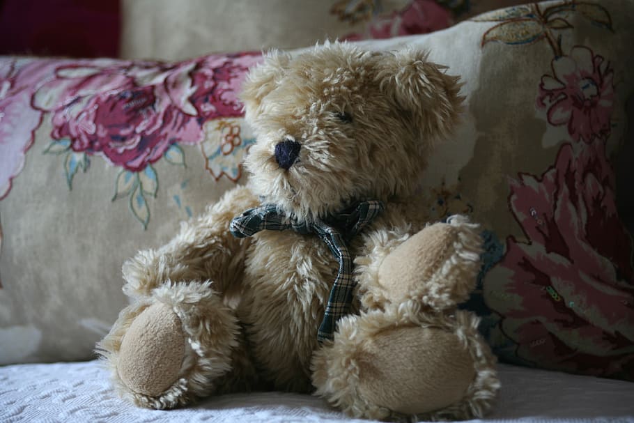 teddy, cute, bed, toy, childhood, sweet, soft, fluffy, mammal HD wallpaper