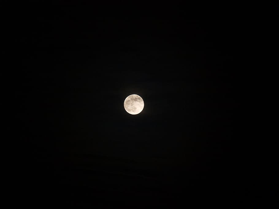 moon, white, black background, night, astronomy, space, full moon HD wallpaper