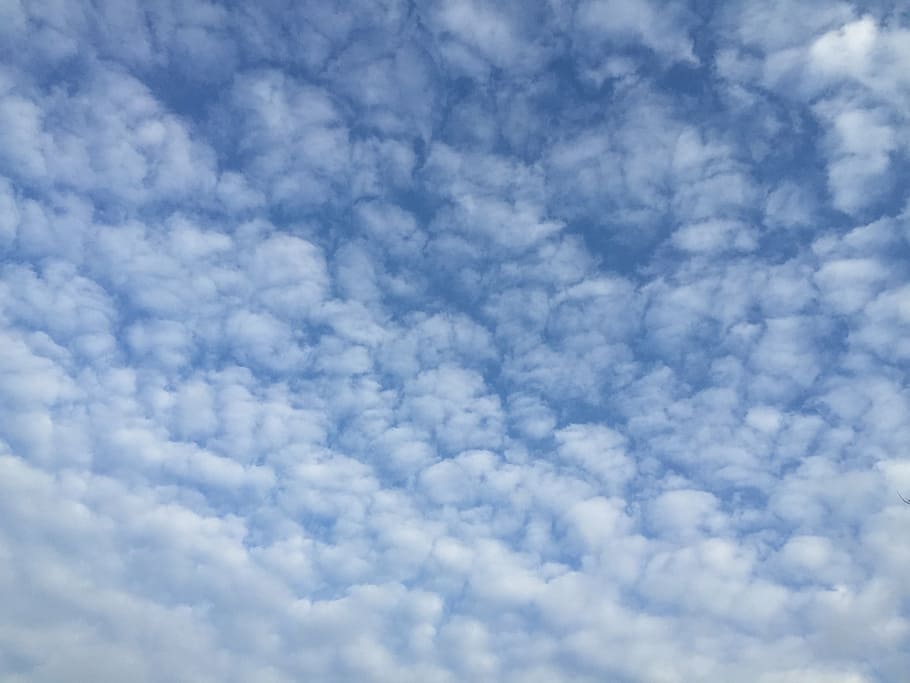 cloud, sky, blue sky clouds, white, weather, skies, cloud - sky HD wallpaper