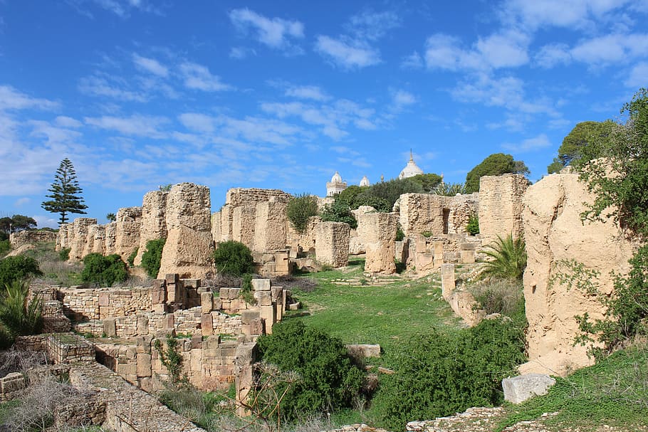 carthago, carthage, history, tunis, the past, ancient, old ruin, HD wallpaper