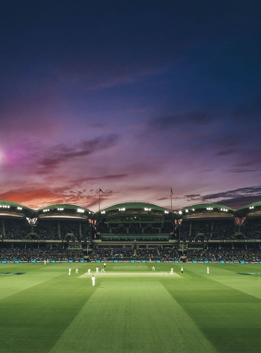 154907 Cricket Pitch Photos and Premium High Res Pictures  Getty Images