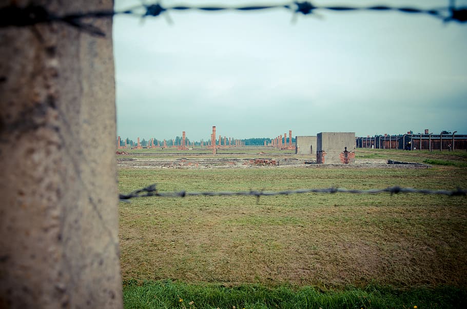 Holocaust, Majdanek, Poland, Barbwire, fence, concentration HD wallpaper
