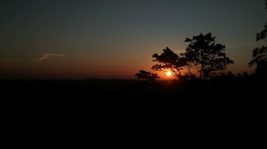 Sunset, Afternoon, silhouette, nature, tree, scenics, tranquil scene HD wallpaper