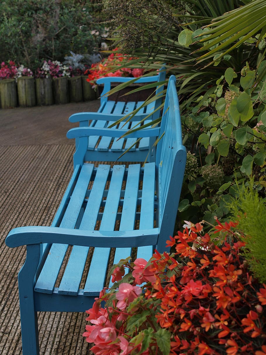 HD wallpaper: bench, seat, chair, garden, plant, nature, flowering plant |  Wallpaper Flare