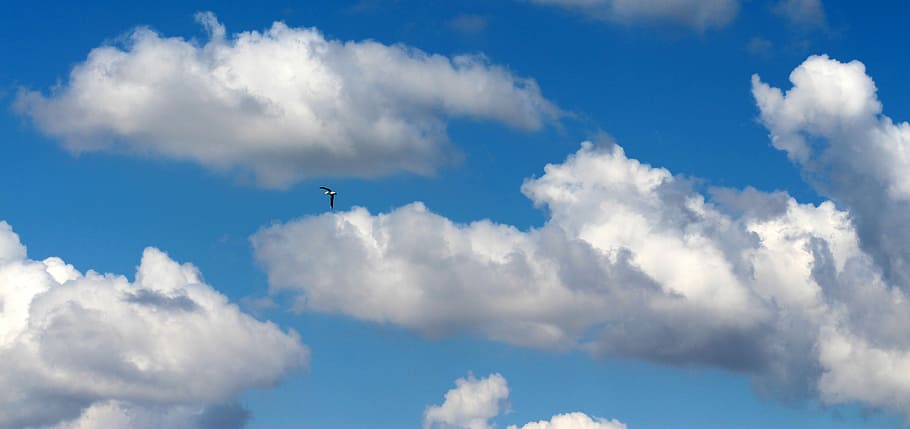 Sky, Cloud, White, Fluffy, cloud - sky, nature, blue, beauty in nature HD wallpaper