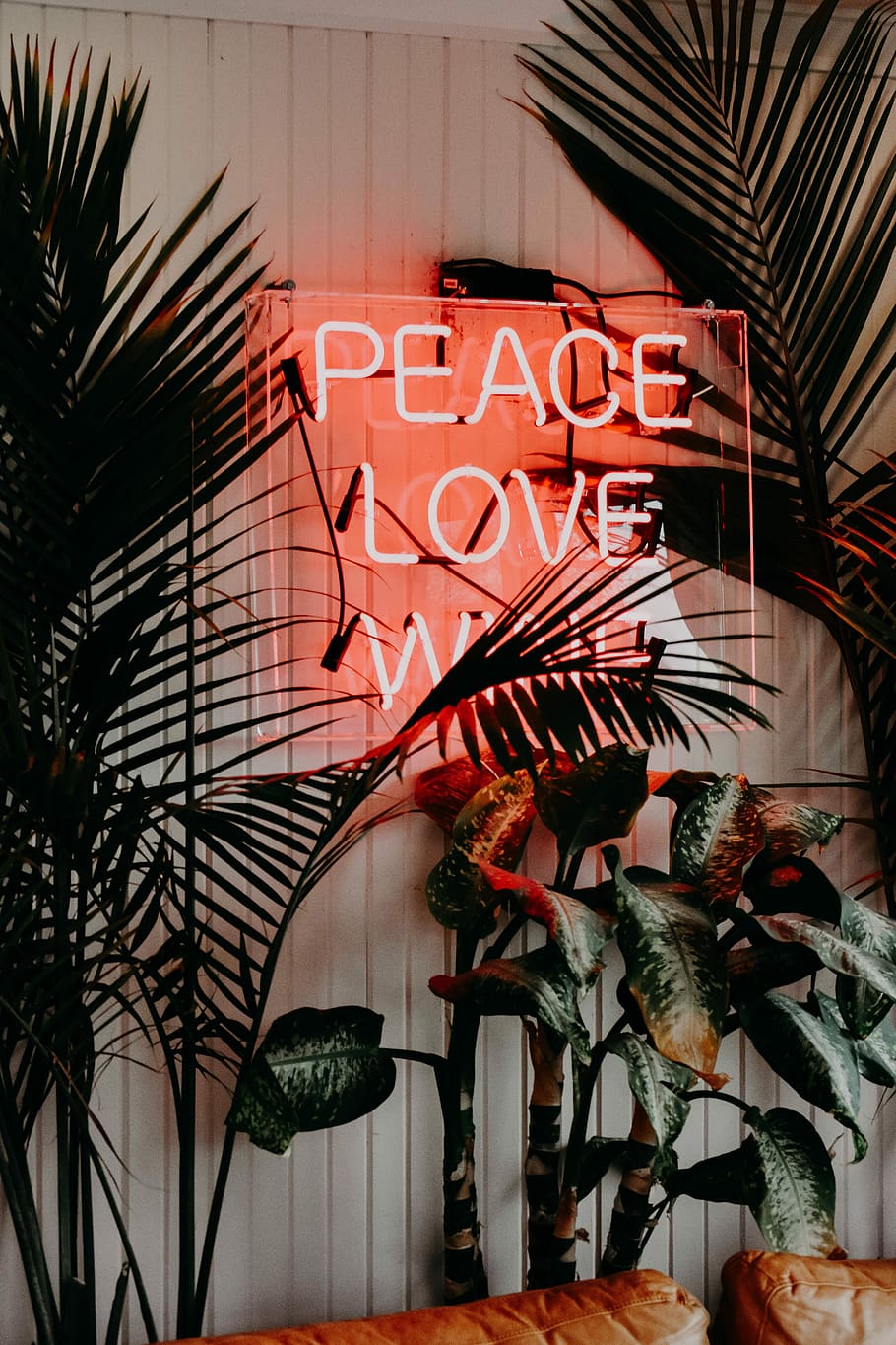 Hd Wallpaper Peace Love Neon Signage Near Green Leaf Plants Plants