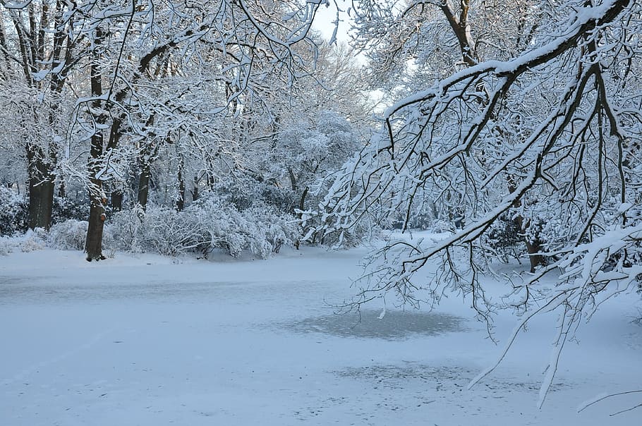 winter, landscape, nature recording, cold temperature, snow HD wallpaper